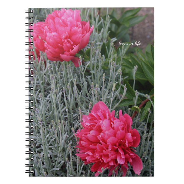 Cuaderno Peonies & Lavender (Frente)
