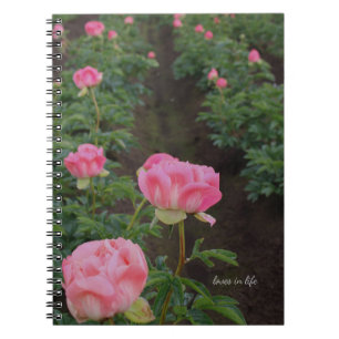 Cuaderno Peony Field