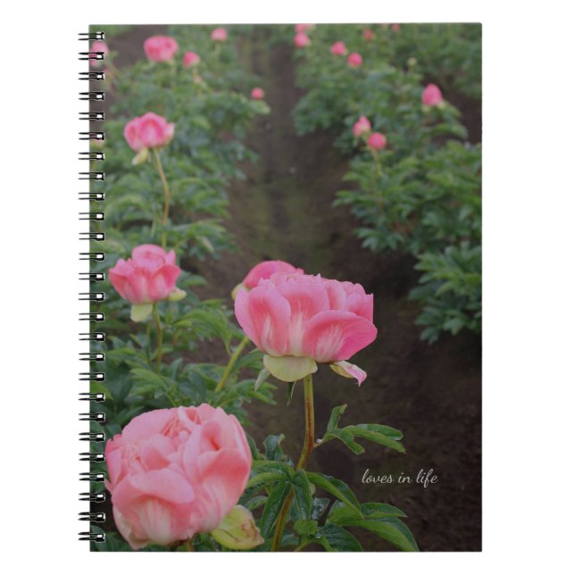 Cuaderno Peony Field (Frente)