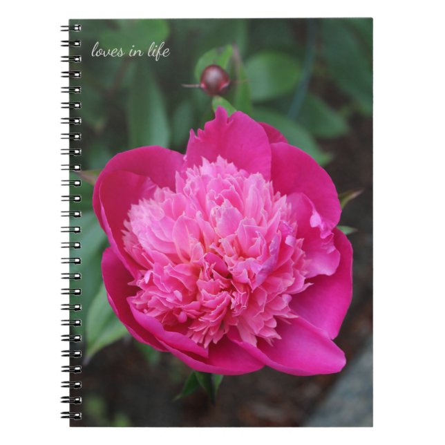 Cuaderno Peony Rosa y Baby Bud (Frente)