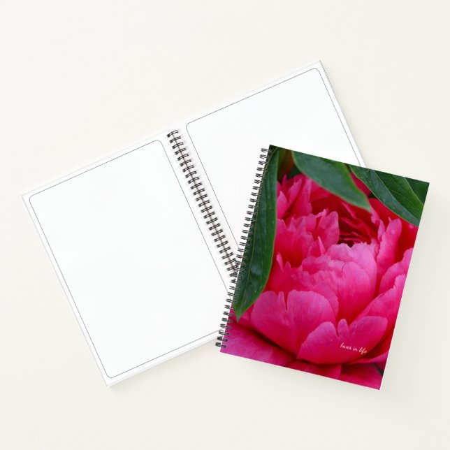 Cuaderno Peony rosado de Bashful (Interior)