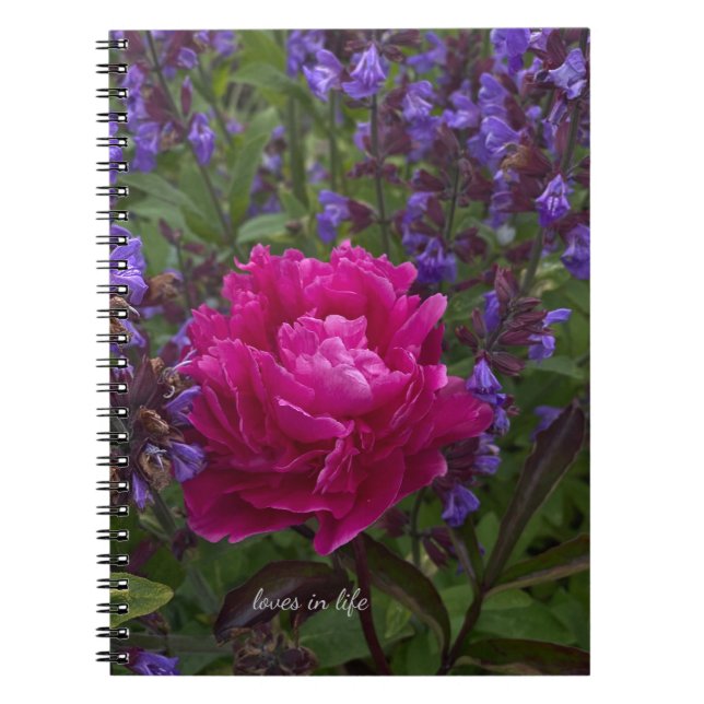 Cuaderno Peony y Sage (Frente)