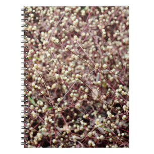 Cuaderno Pequeña bola en forma de arbusto blanco salvaje