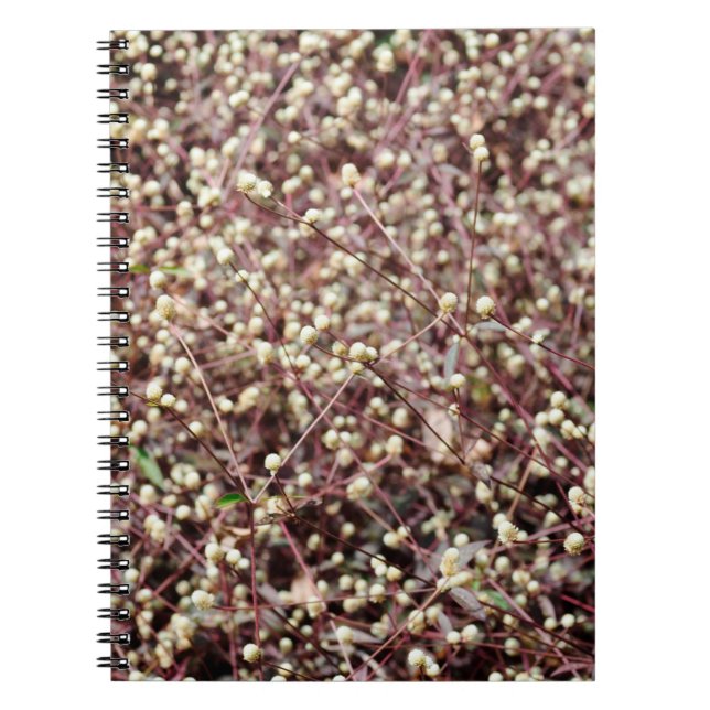 Cuaderno Pequeña bola en forma de arbusto blanco salvaje (Frente)