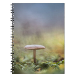 Cuaderno Pequeña foto natural de hongos