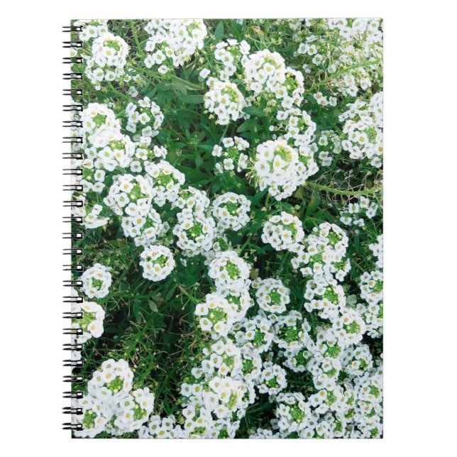 Cuaderno Pequeñas flores blancas en el césped durante el dí (Frente)