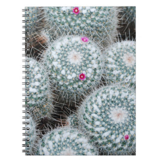 Cuaderno Pequeñas flores rosas cactus Plantas