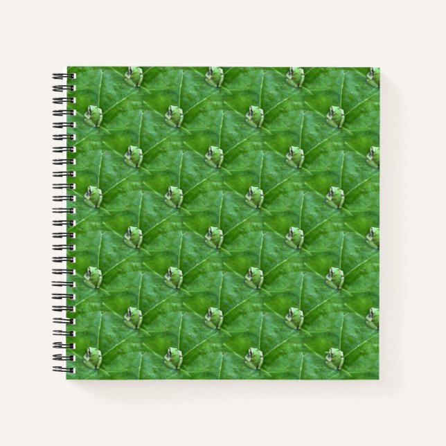Cuaderno Pequeñas ranas. (Anverso)