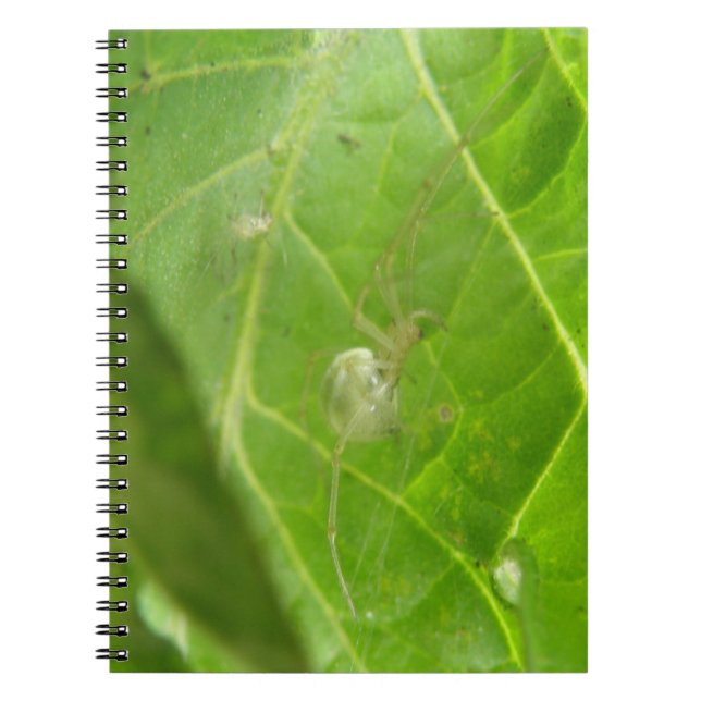 Cuaderno Pequeño bloc de notas de araña (Frente)