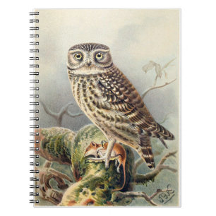 Cuaderno Pequeño Bloc de notas de búho