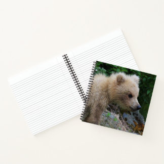 Cuaderno Pequeño cubo de 128 - bloc de notas