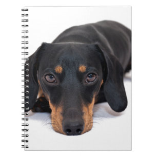 Cuaderno Pequeño Dachshund