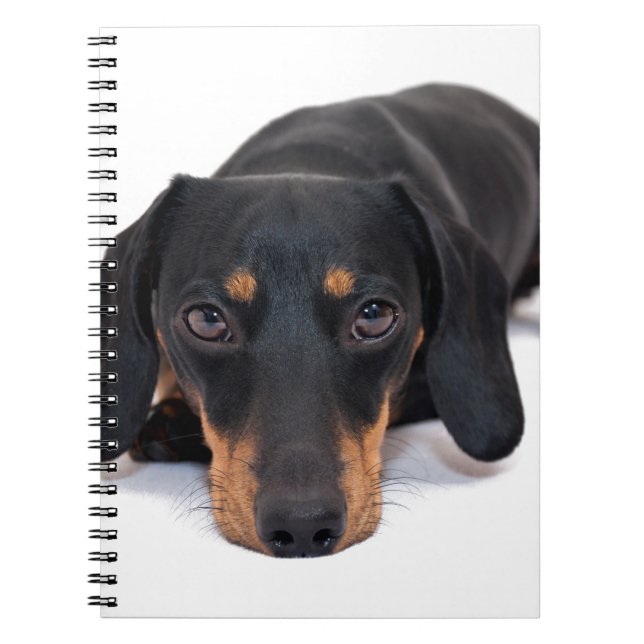 Cuaderno Pequeño Dachshund (Frente)