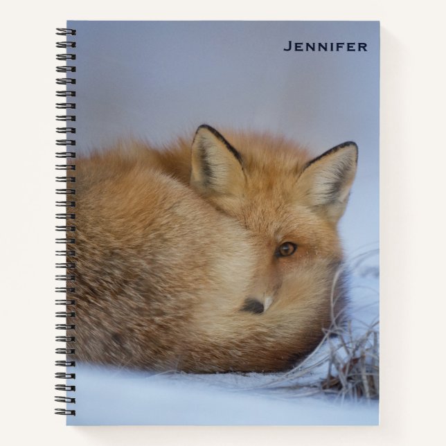 Cuaderno Pequeño Fox Maldita Foto De Invierno (Anverso)