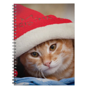 Cuaderno Pequeño gatito en gorra rojo del navidad