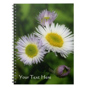Cuaderno Pequeños Daisies Naturaleza Fleabane Flower