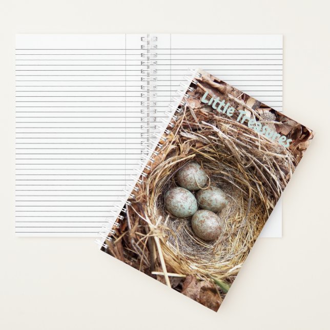 Cuaderno Pequeños tesoros Huevos de nido de aves (Interior)