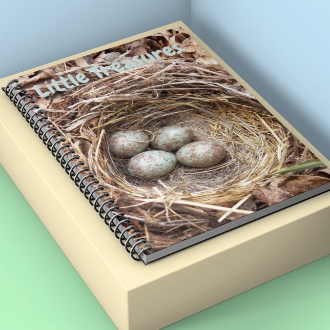 Cuaderno Pequeños tesoros Huevos de nido de aves (In Situ)