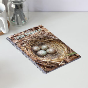 Cuaderno Pequeños Tesoros Huevos de Nido de Pájaro