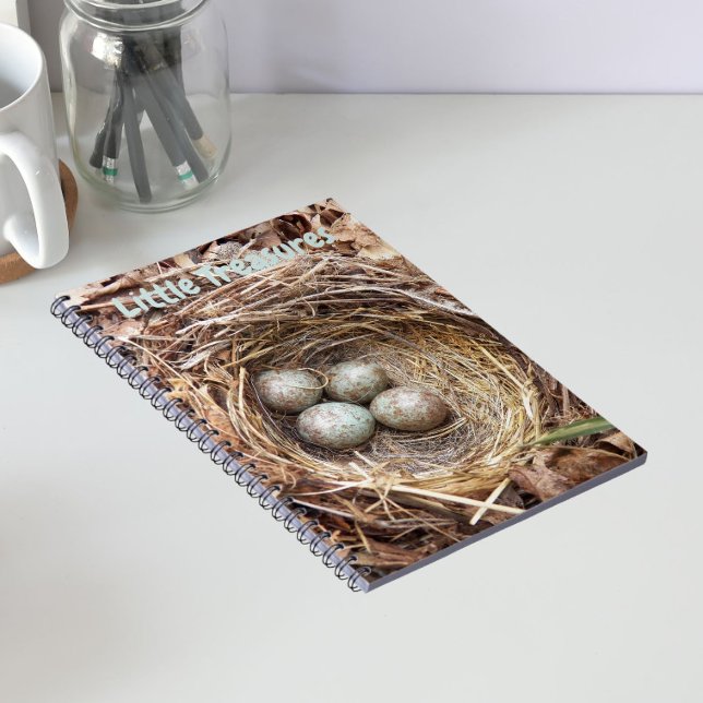 Cuaderno Pequeños Tesoros Huevos de Nido de Pájaro (In Situ)