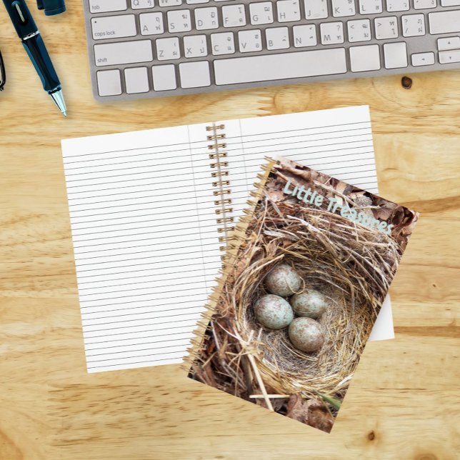Cuaderno Pequeños Tesoros Huevos de Nido de Pájaro (In Situ)