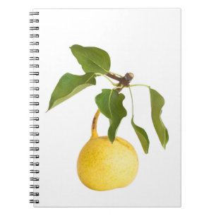 Cuaderno pera salvaje