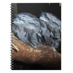 Cuaderno "Perca soñadora: lechuzas sueñas Tawny Frogmouth"