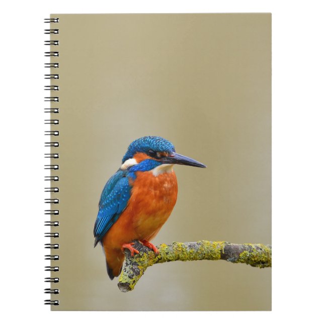 Cuaderno Perching Kingfisher (Frente)