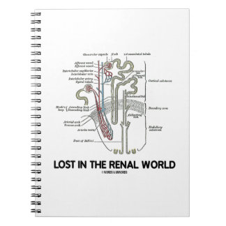Cuaderno Perdido En El Mundo Renal Nefron Riñón
