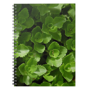 Cuaderno Perdidos en hojas