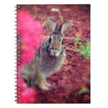 Perdone me Bunny Spiral Journal