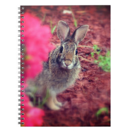 Cuaderno Perdone me Bunny Spiral Journal