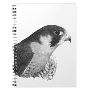 Cuaderno Peregrine Falcon-Pencil