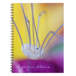 Cuaderno Perfecto en la naturaleza