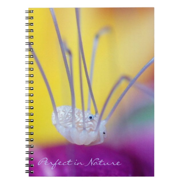 Cuaderno Perfecto en la naturaleza (Frente)
