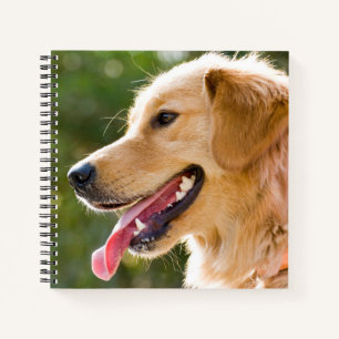 Cuaderno Perfil de Golden Retriever con salida de lengua