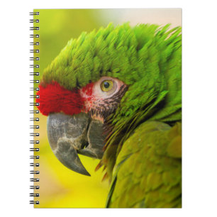 Cuaderno Perfil de guacamayo en el zoológico de Santa Bárba