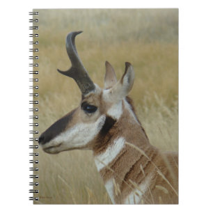 Cuaderno Perfil de tiro en la cabeza de un joven antílope b