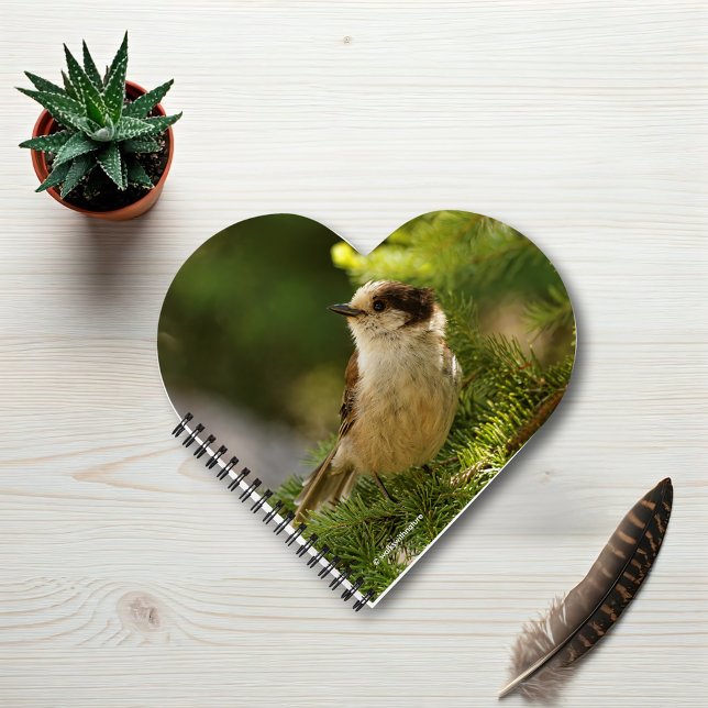 Cuaderno Perfil de un Jay Gray/Whiskeyjack lindo (Cute Whiskeyjack Grey Jay in the Fir Journal Cover Photo)