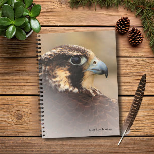 Cuaderno Perfil visto de un halcón peregrino
