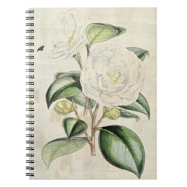 Cuaderno Perla Botánica Vintage Camellia (Frente)