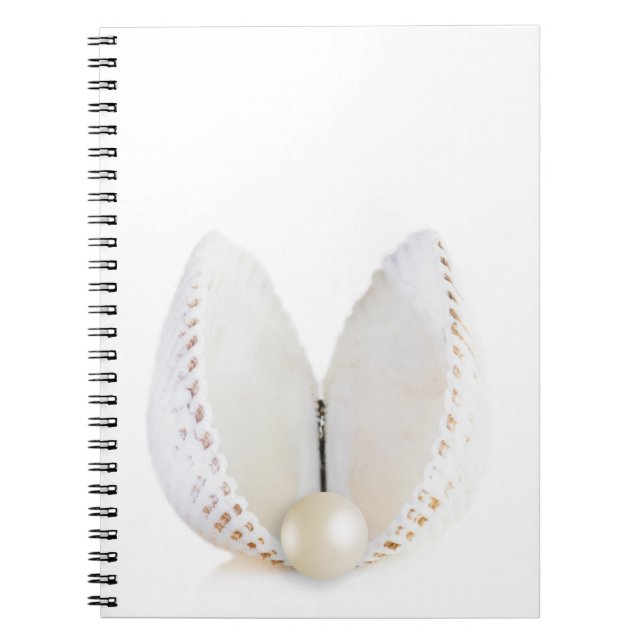Cuaderno Perla y concha (Frente)
