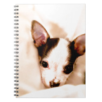 Cuaderno Perrito