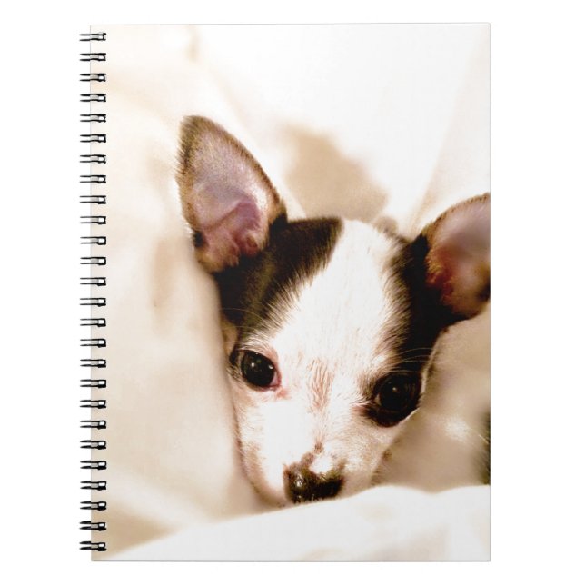 Cuaderno Perrito (Frente)