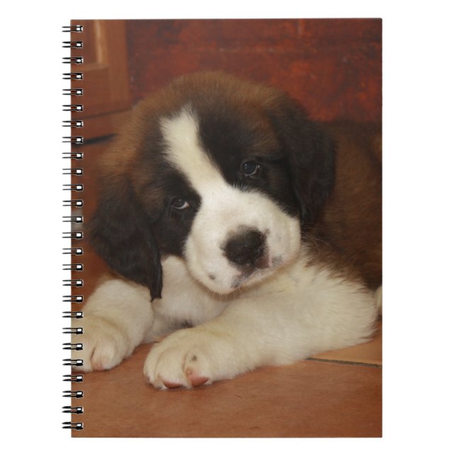 Cuaderno Perrito adorable y dulce de St Bernard (Frente)