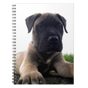 Cuaderno Perrito Bullmastiff