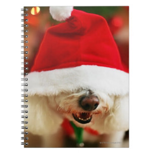 Cuaderno Perrito de Bichon Frise que lleva el traje de