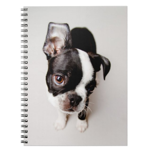 Cuaderno Perrito de Edison Boston Terrier (Frente)