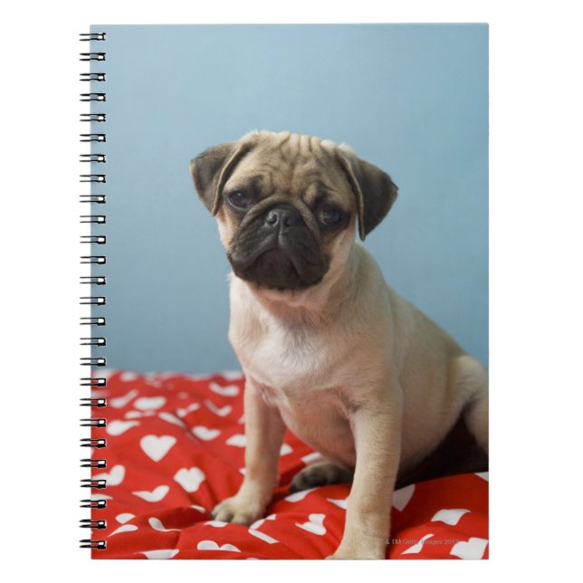Cuaderno Perrito de puño sentado en la cama (Frente)
