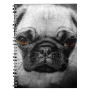 Cuaderno Perrito del barro amasado